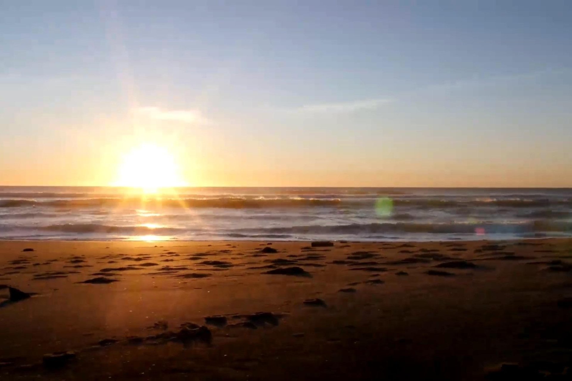 Neubau - Apartments -
Torrevieja - Centro