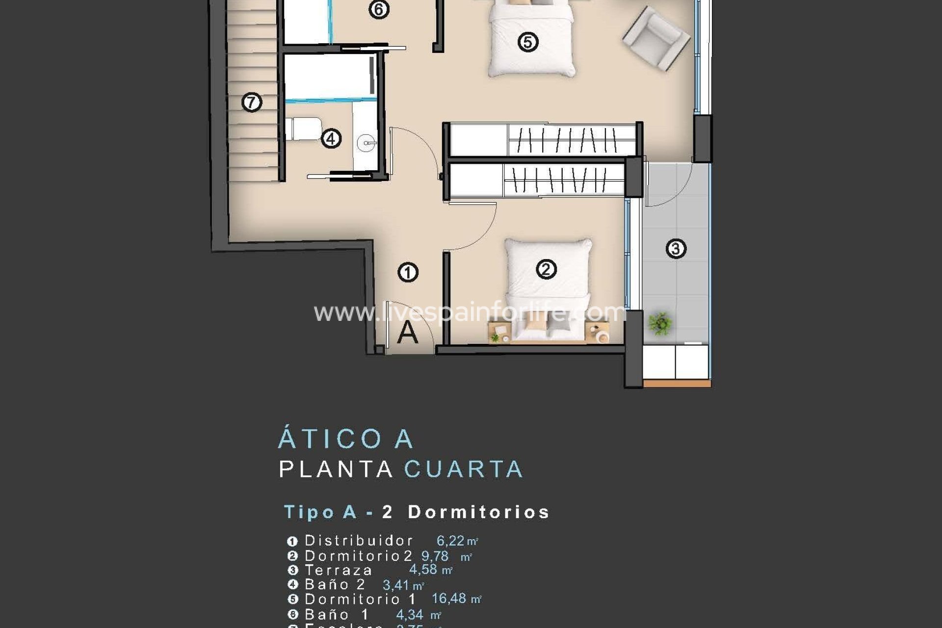 Neubau - Apartments -
Torrevieja - Centro