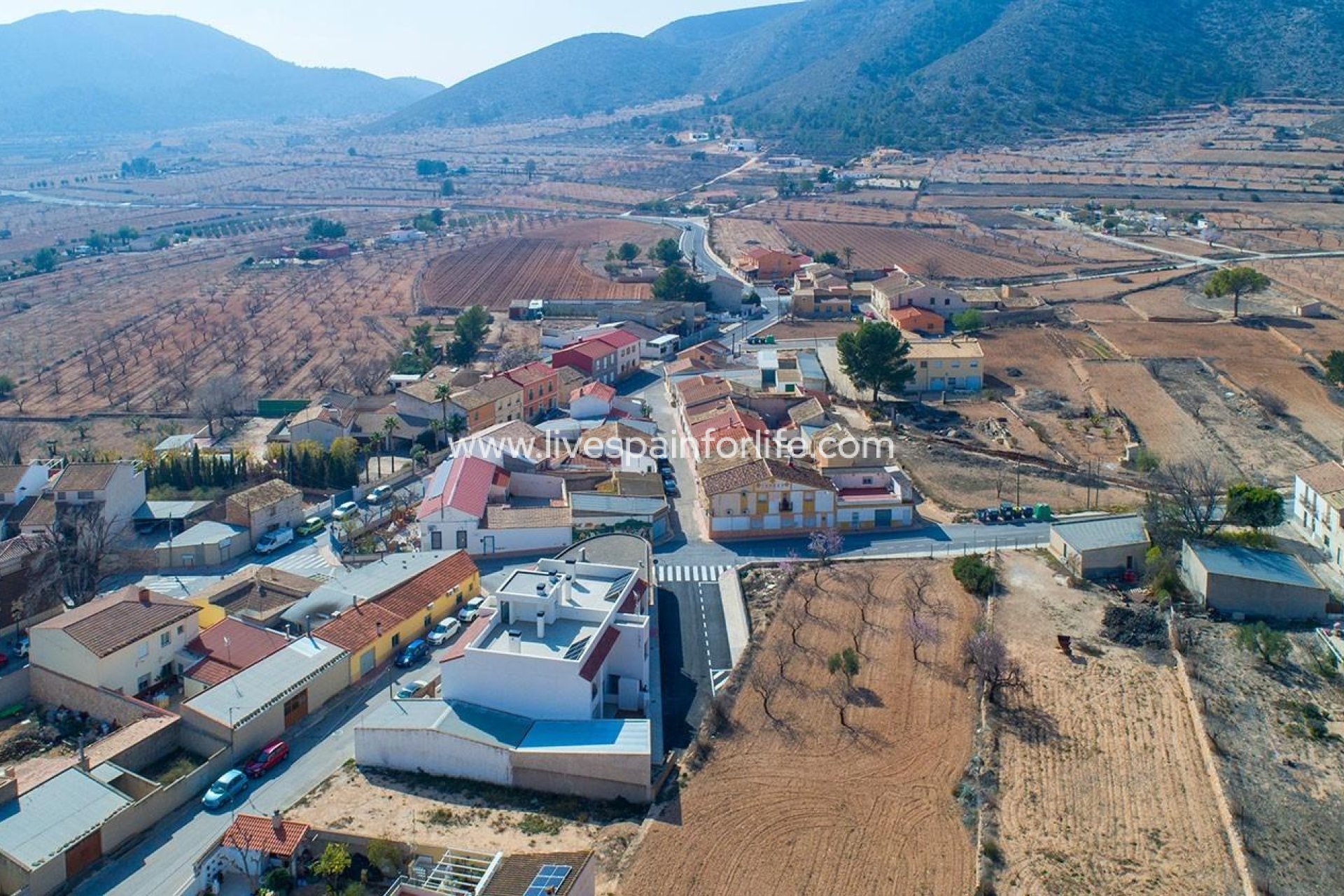 Neubau - Bungalow -
Hondon De Las Nieves - El Salero
