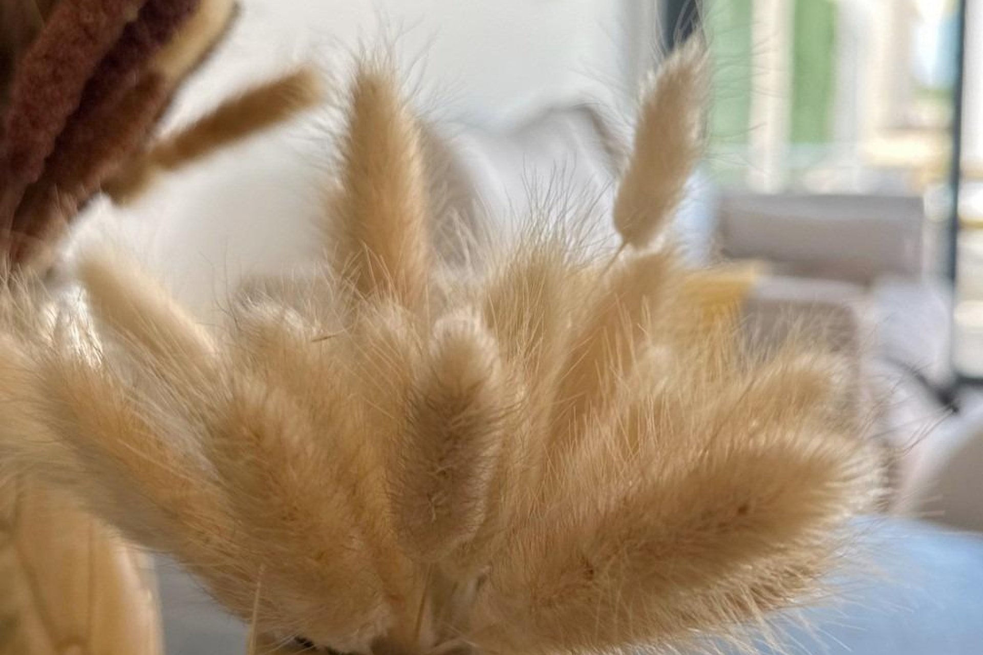 Neubau - Bungalow -
San Fulgencio - Pueblo