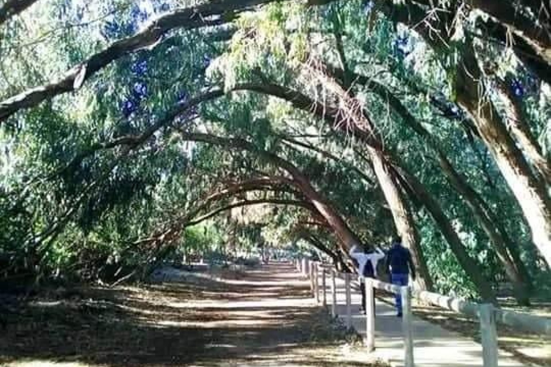 Neubau - Bungalow -
Torrevieja - Altos del Sol