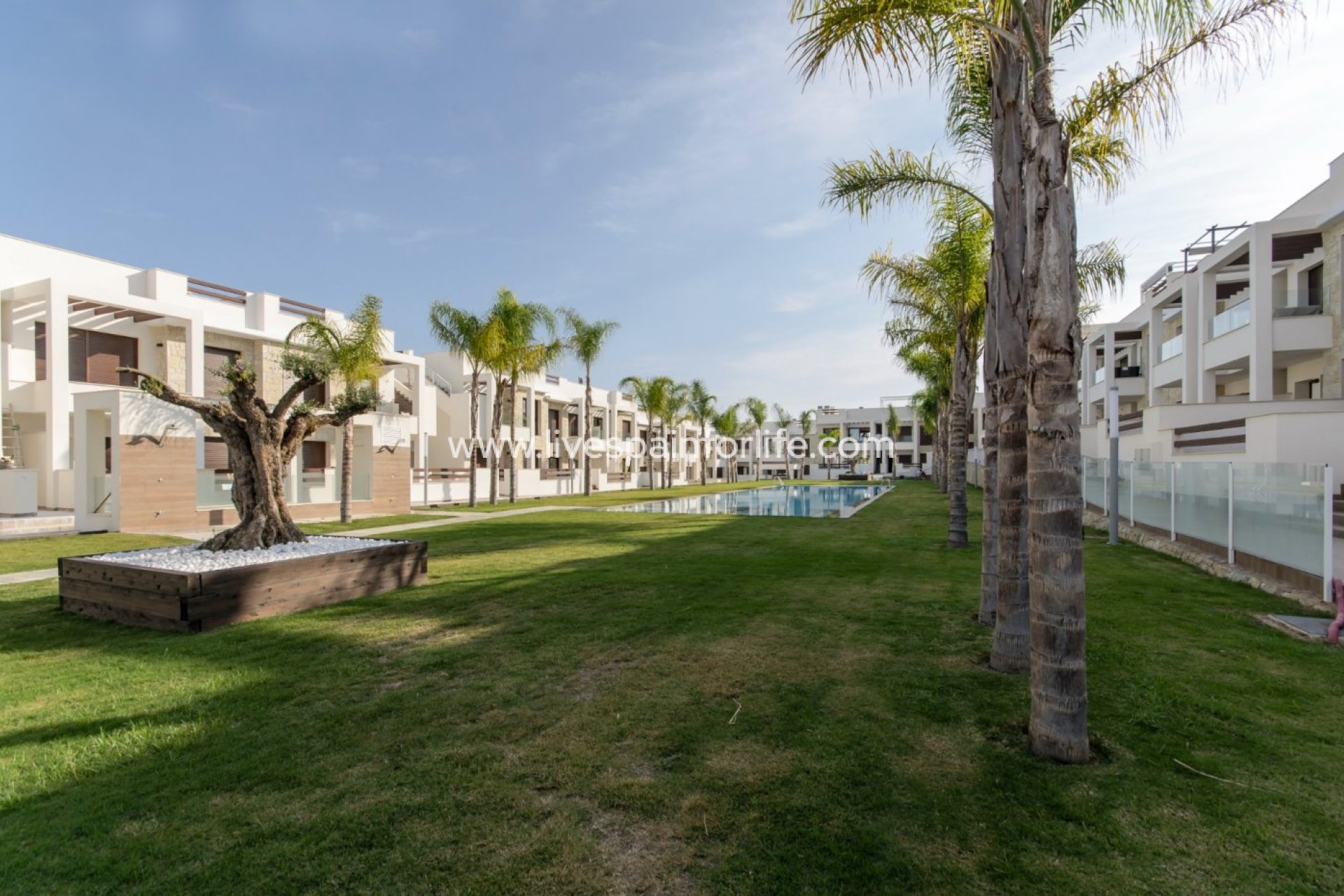 Neubau - Bungalow -
Torrevieja - Los Balcones