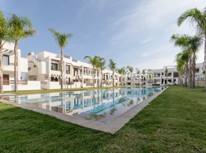 Neubau - Bungalow -
Torrevieja - Los Balcones