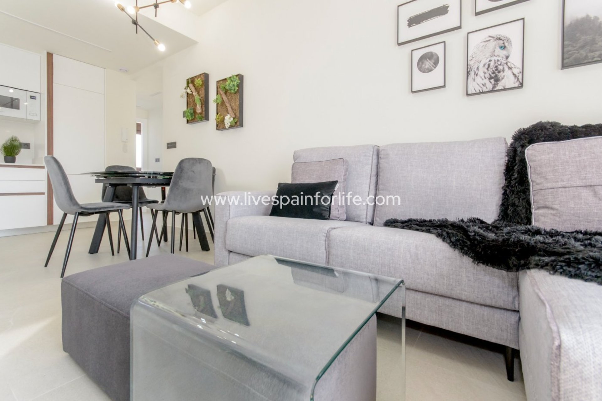Neubau - Bungalow -
Torrevieja - Los Balcones