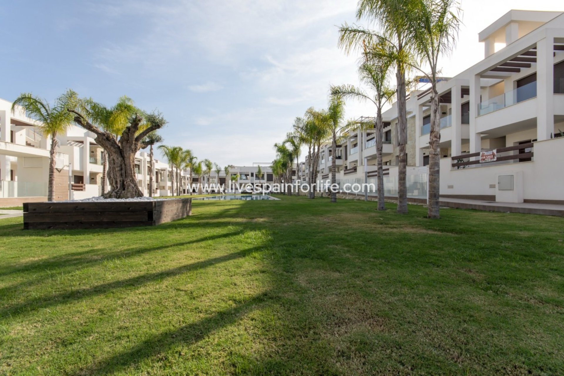 Neubau - Bungalow -
Torrevieja - Los Balcones