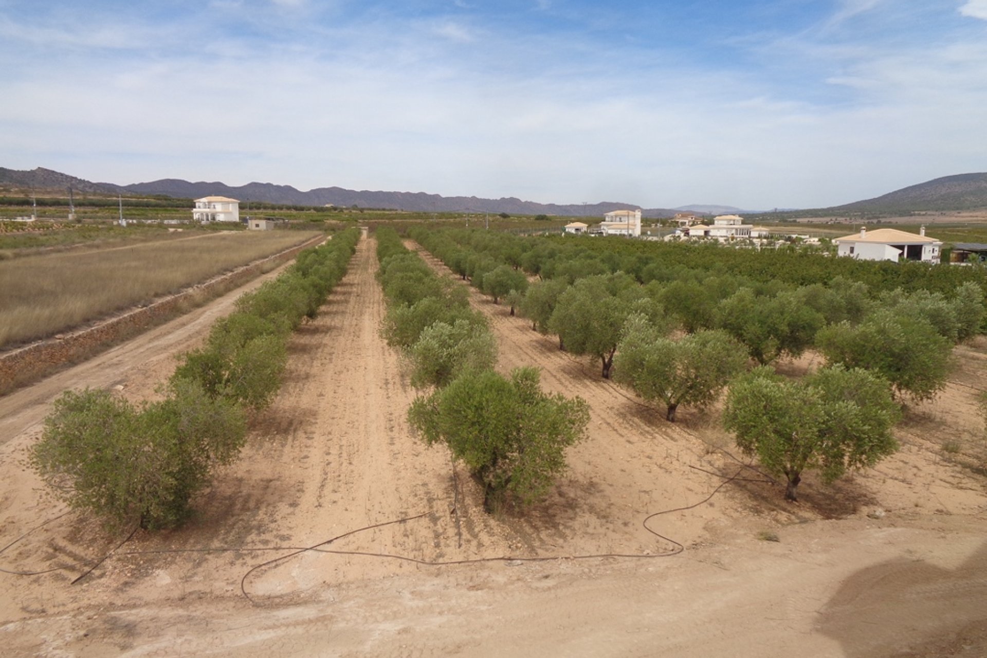 Neubau - Country house -
Alicante