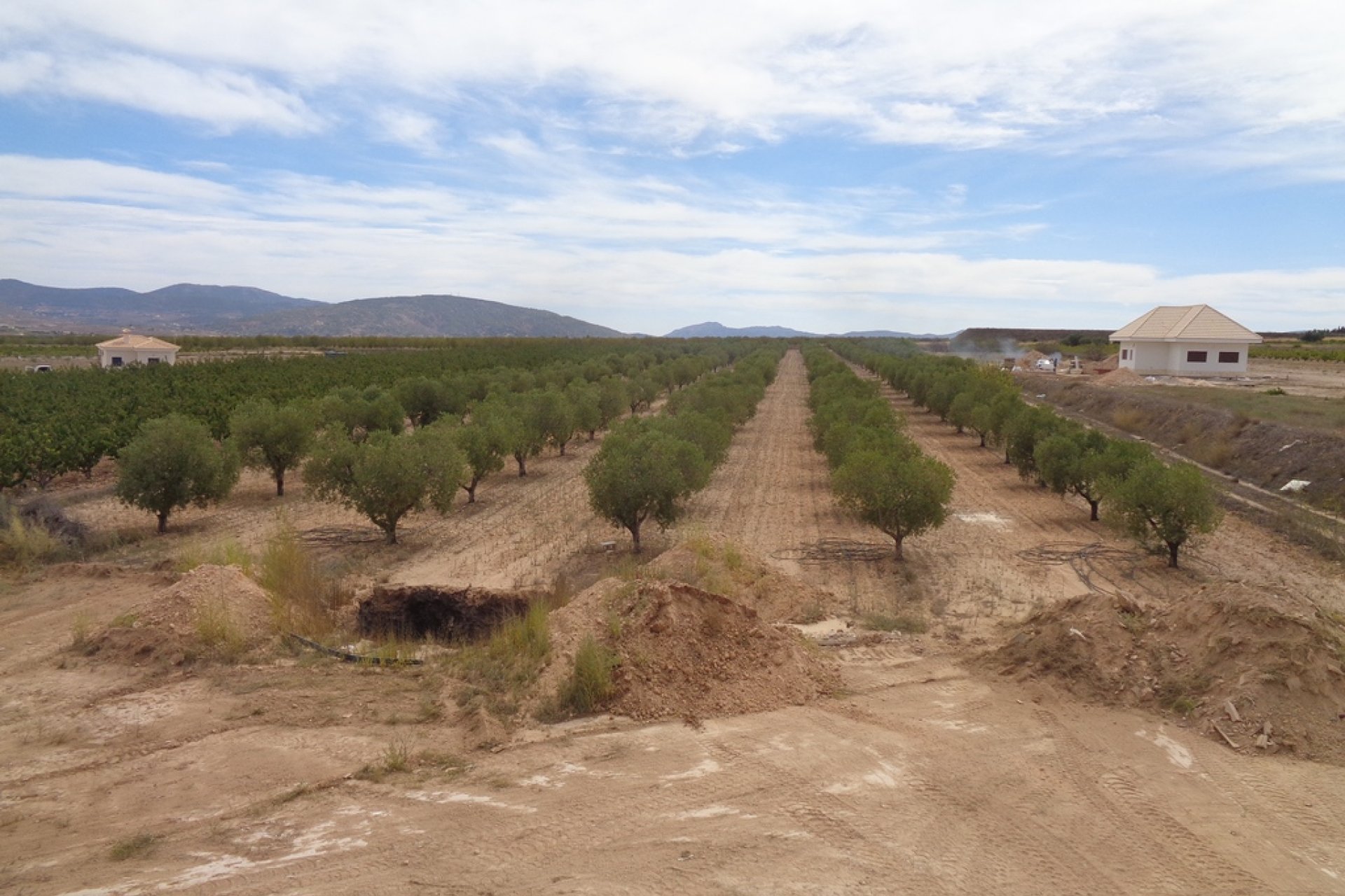 Neubau - Country house -
Alicante