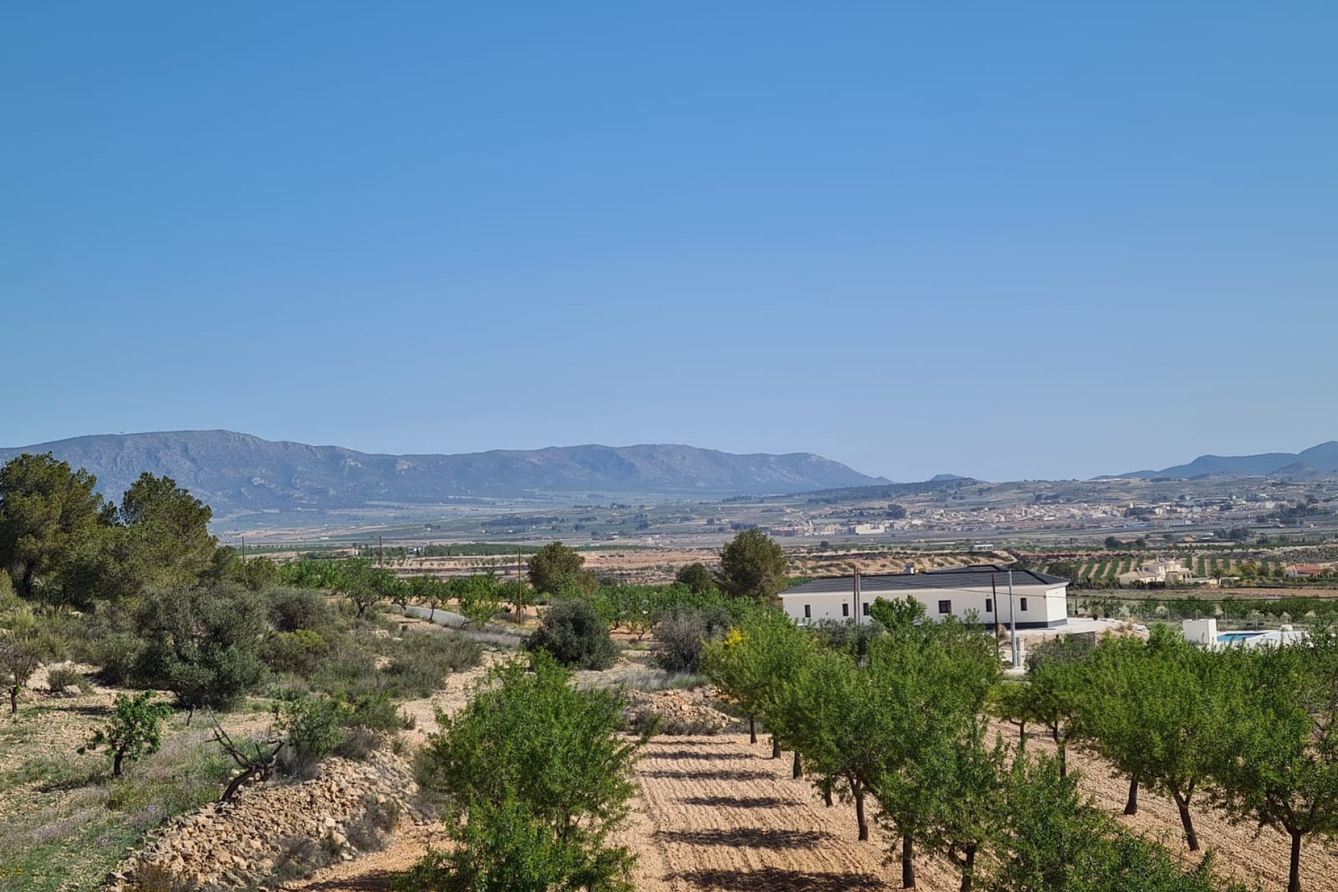 Neubau - Country house -
Pinoso - Pinoso - Country