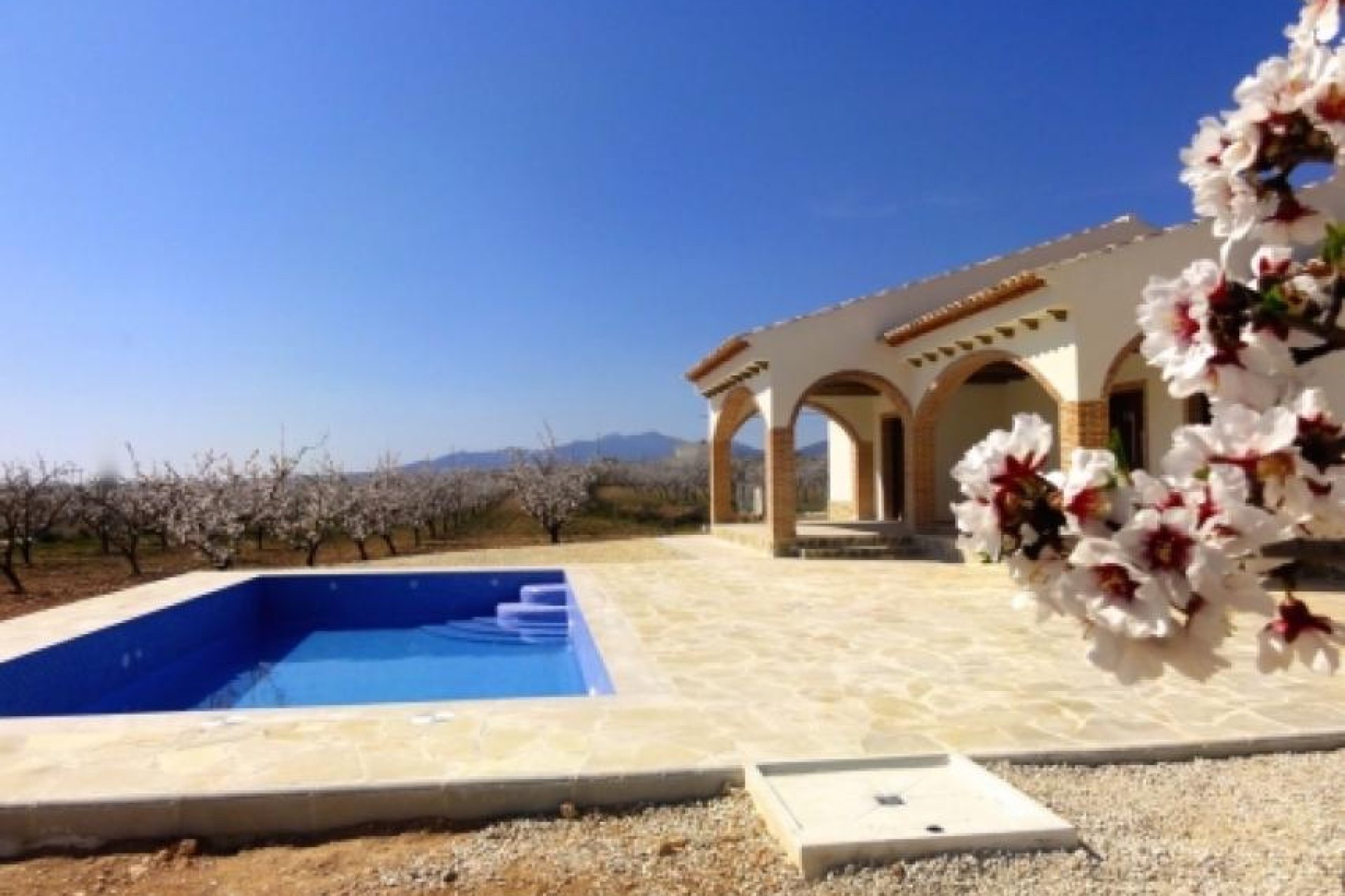 Neubau - Country house -
Pinoso