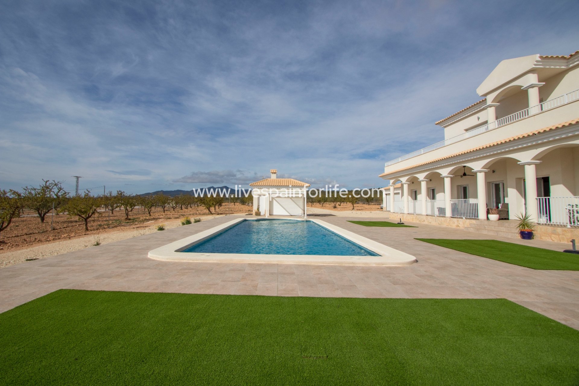 Neubau - Country house -
Pinoso