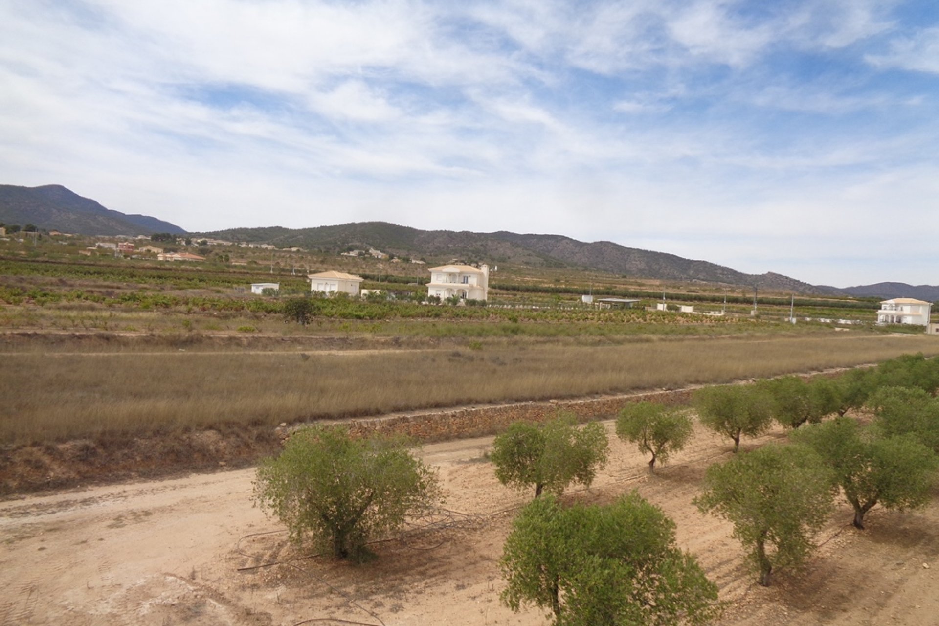 Neubau - Country house -
Pinoso