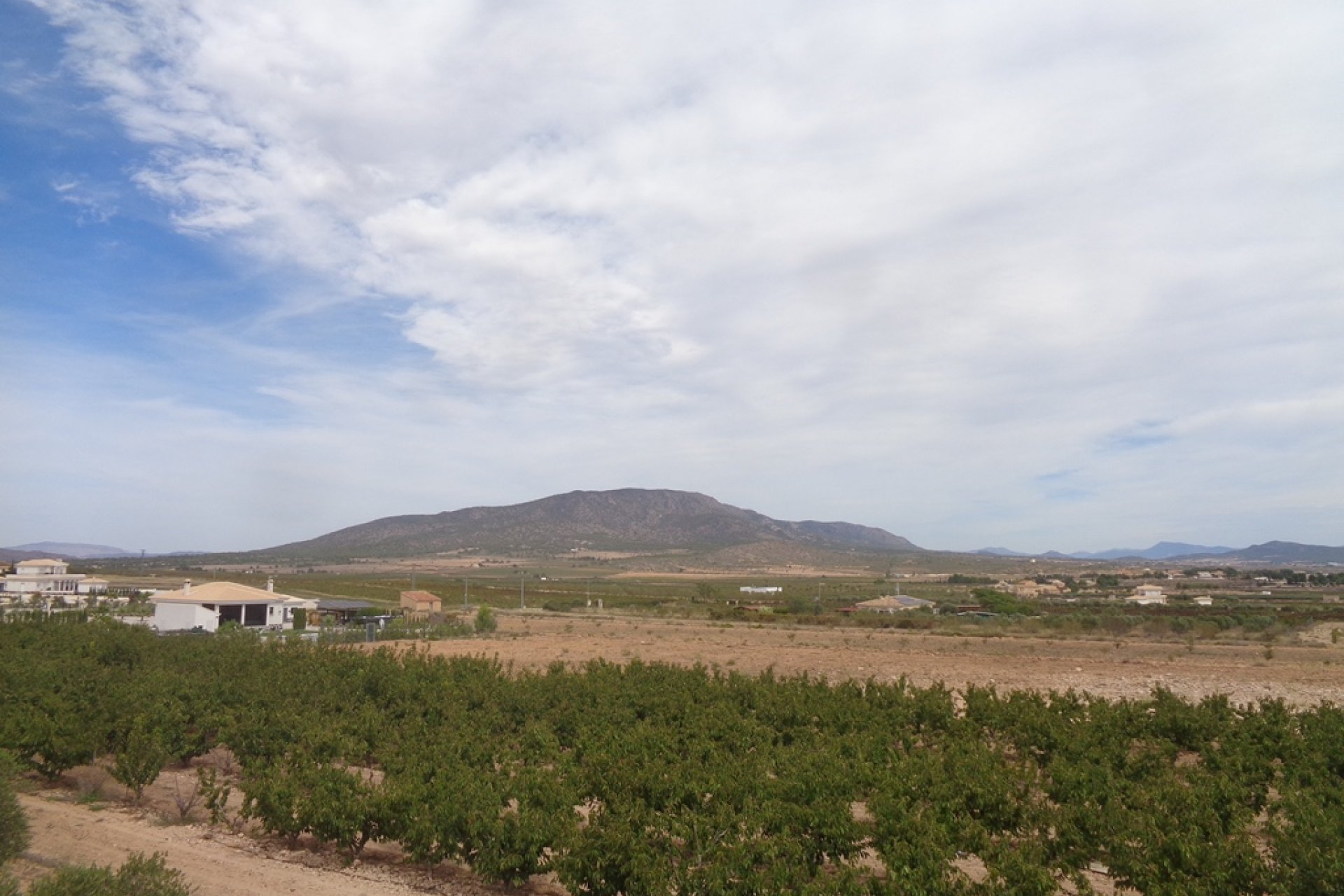 Neubau - Country house -
Pinoso