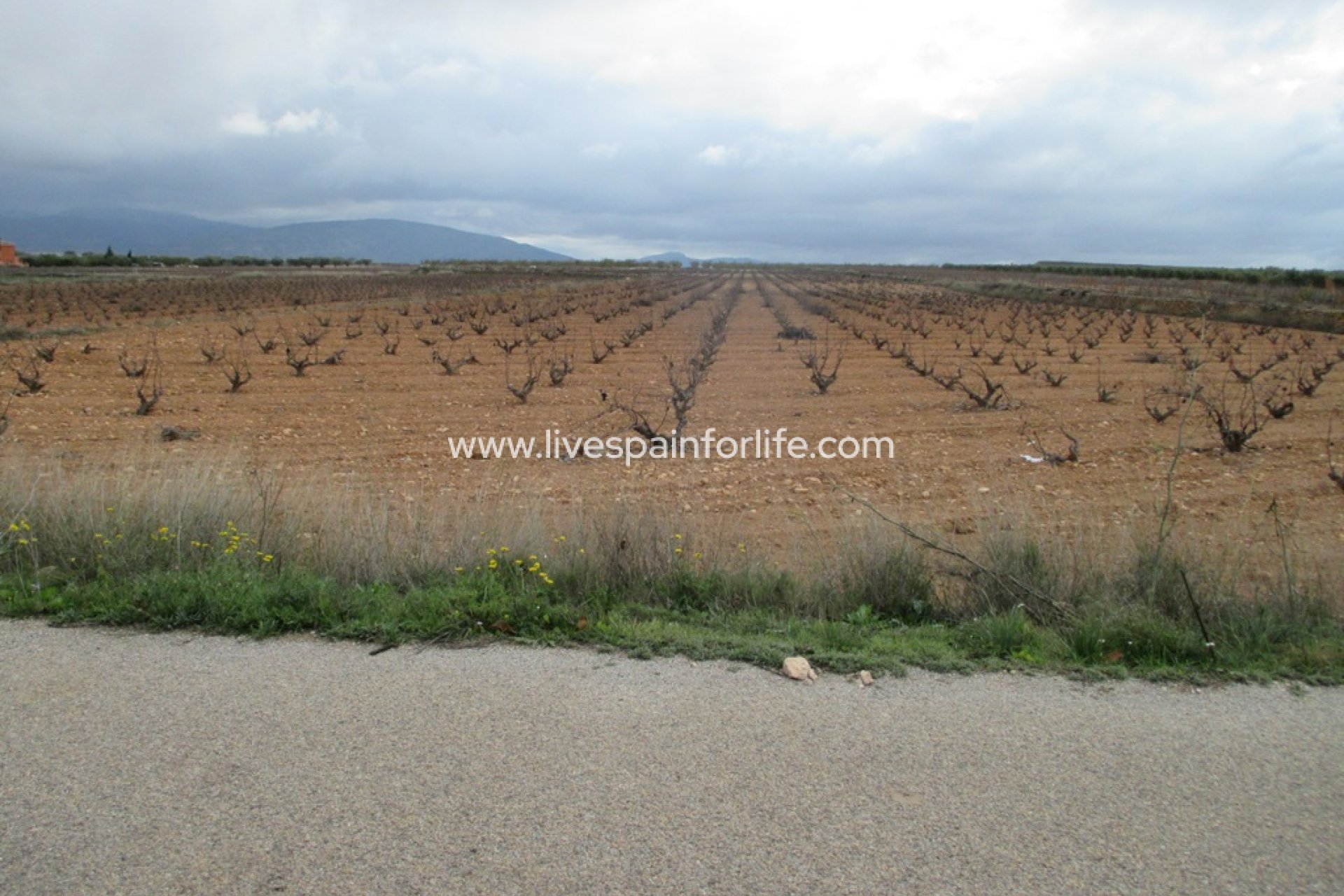 Neubau - Plot of Land -
Pinoso