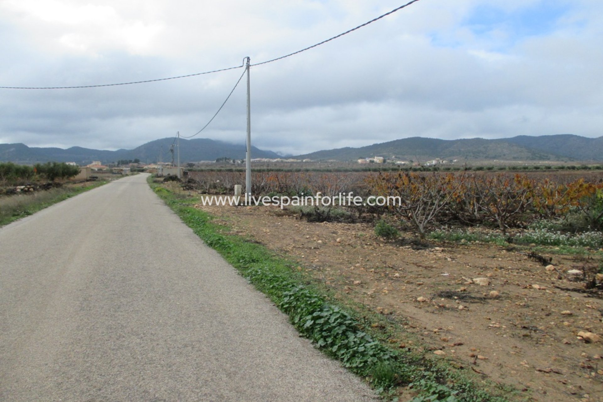 Neubau - Plot of Land -
Pinoso