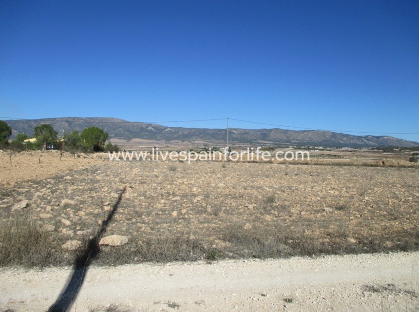 Neubau - Plot of Land -
Pinoso