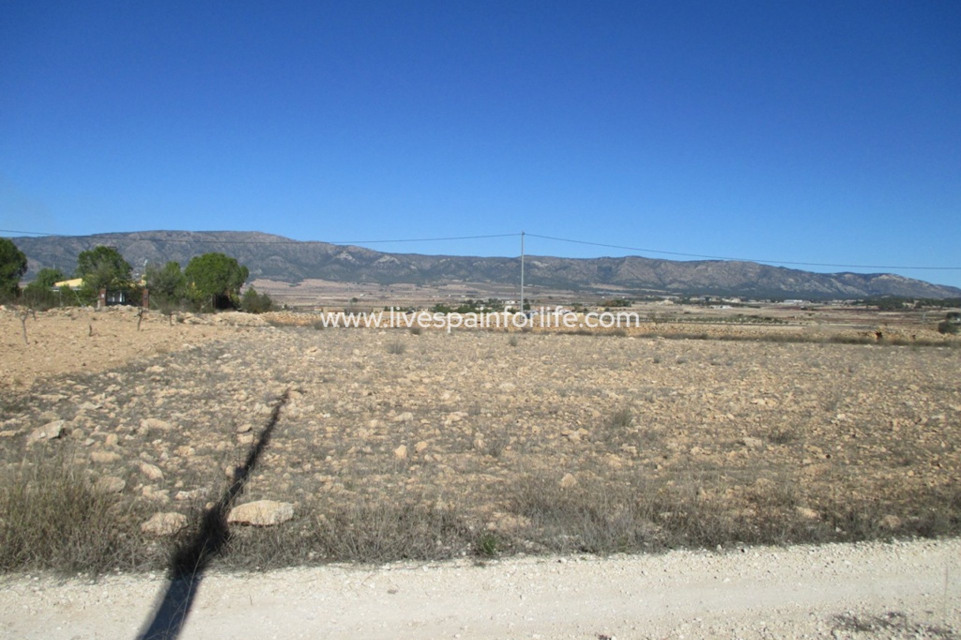 Neubau - Plot of Land -
Pinoso