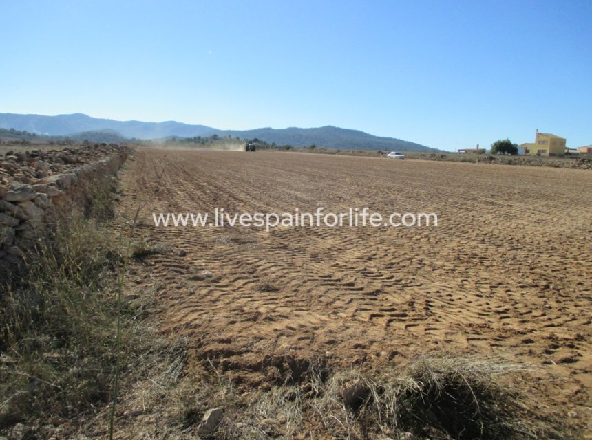 Neubau - Plot of Land -
Pinoso