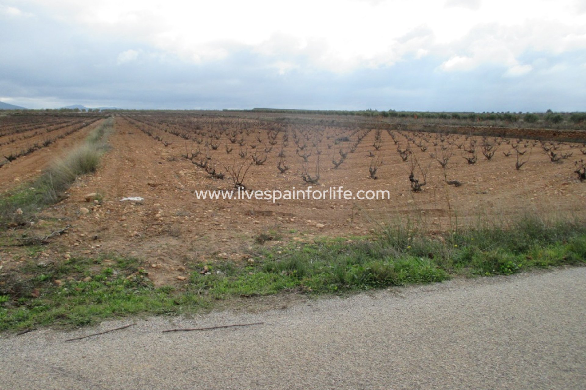 Neubau - Plot of Land -
Pinoso