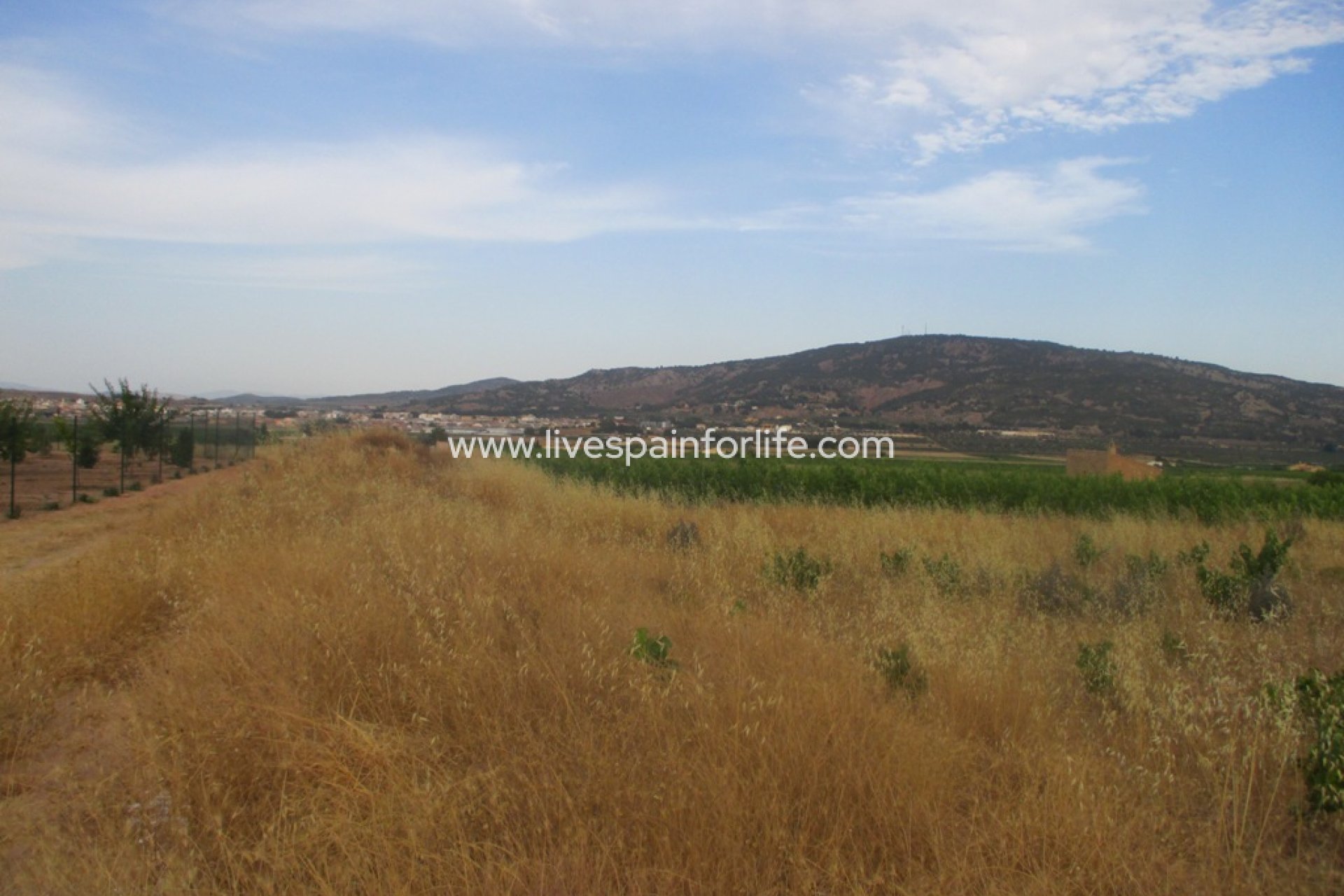 Neubau - Plot of Land -
Pinoso