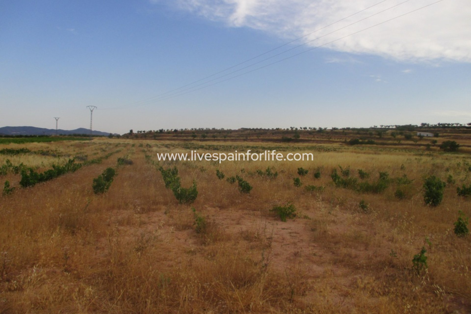Neubau - Plot of Land -
Pinoso