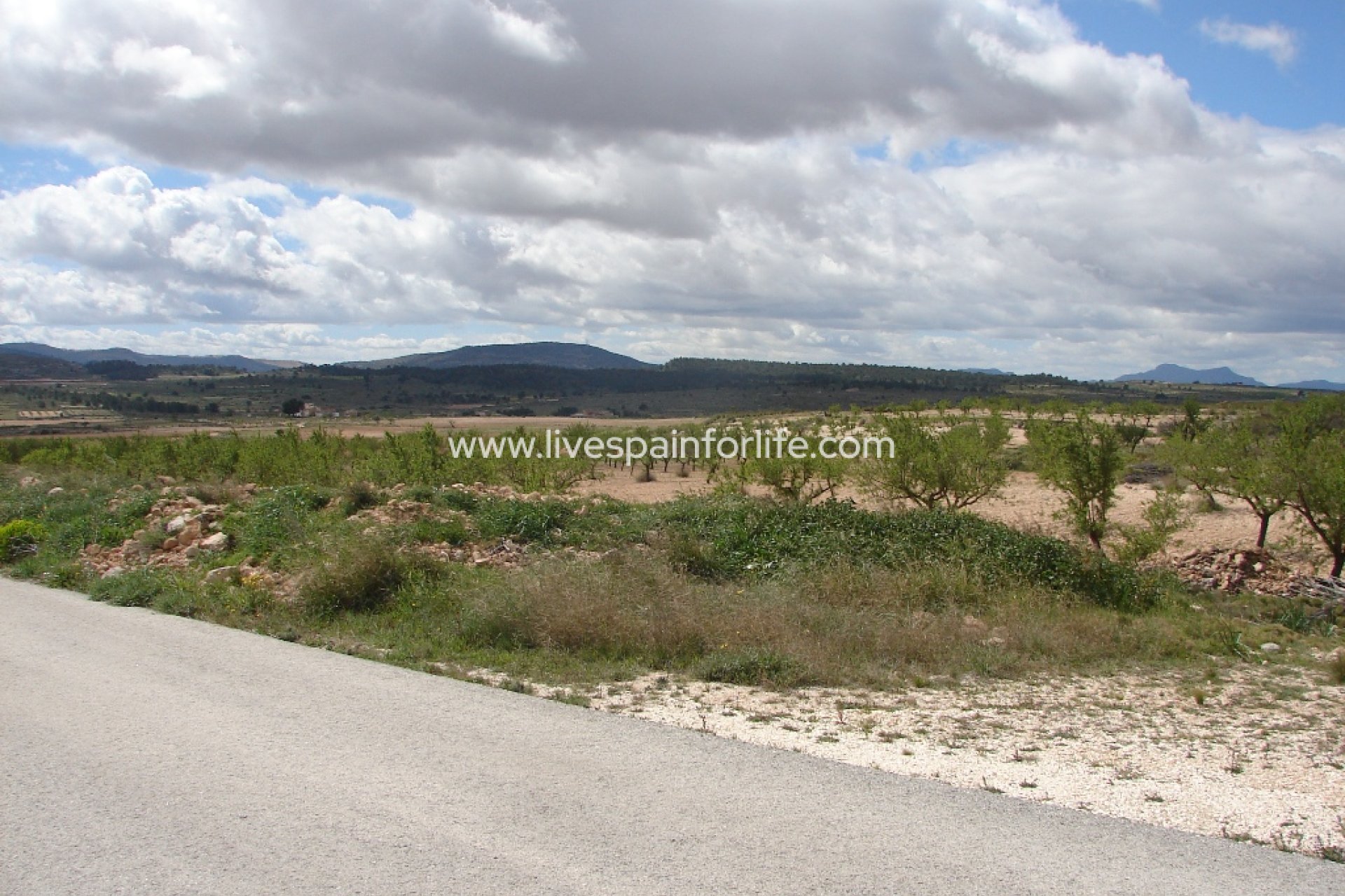 Neubau - Plot of Land -
Pinoso