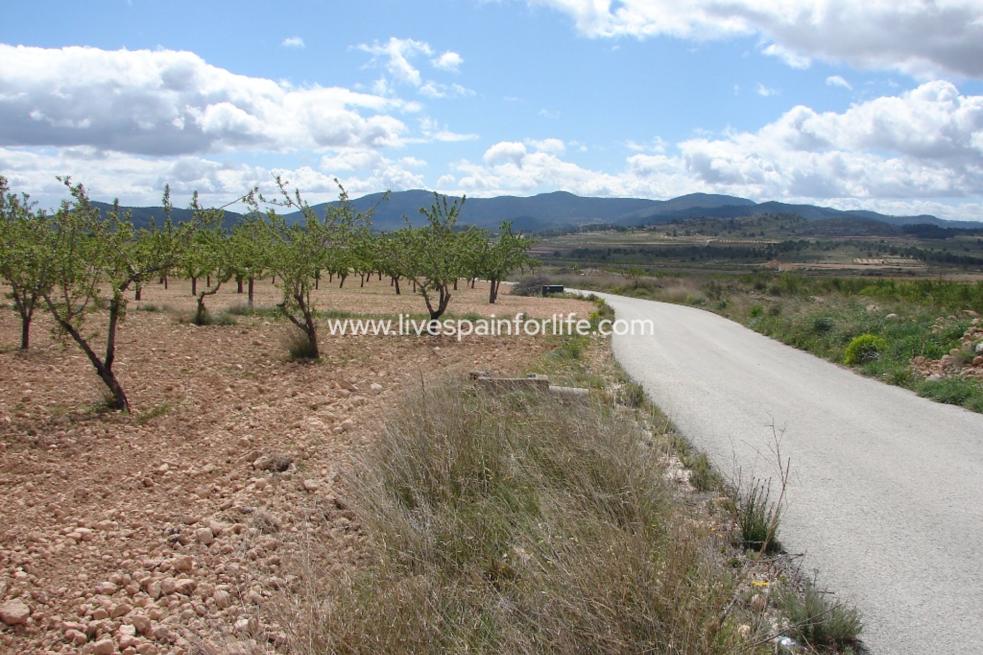 Neubau - Plot of Land -
Pinoso