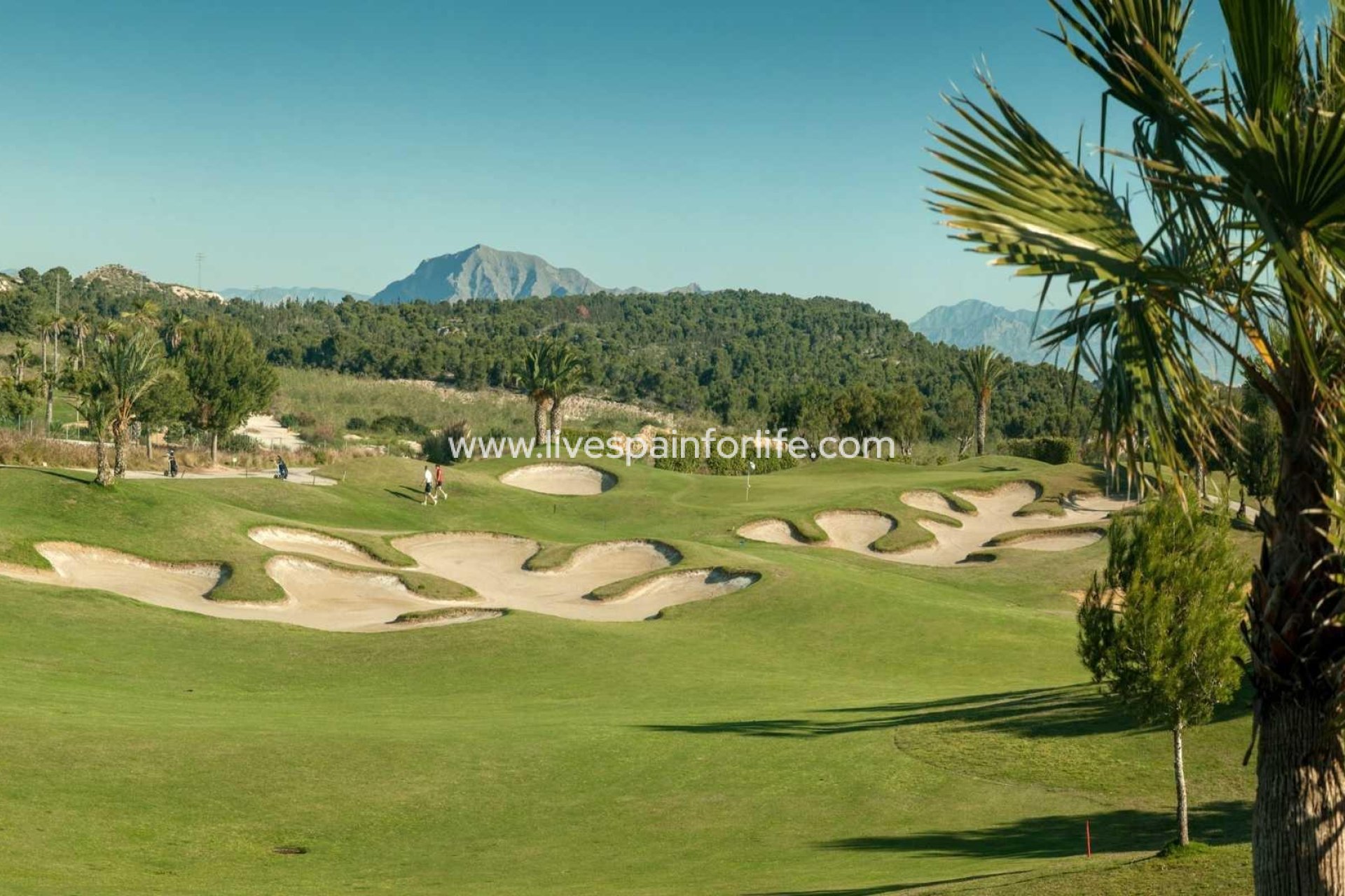Neubau - Stadthaus -
Orihuela - Vistabella Golf