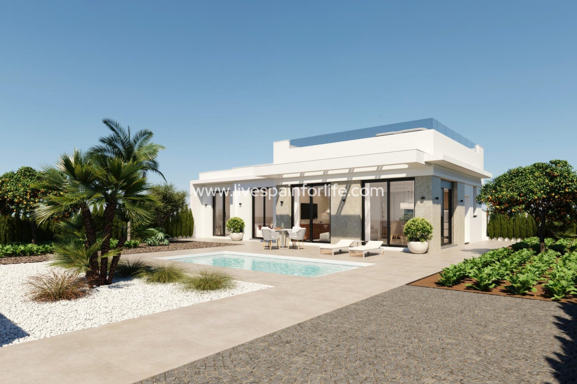 Neubau - Villa (freistehende) -
Fuente Álamo - Hacienda del Alamo