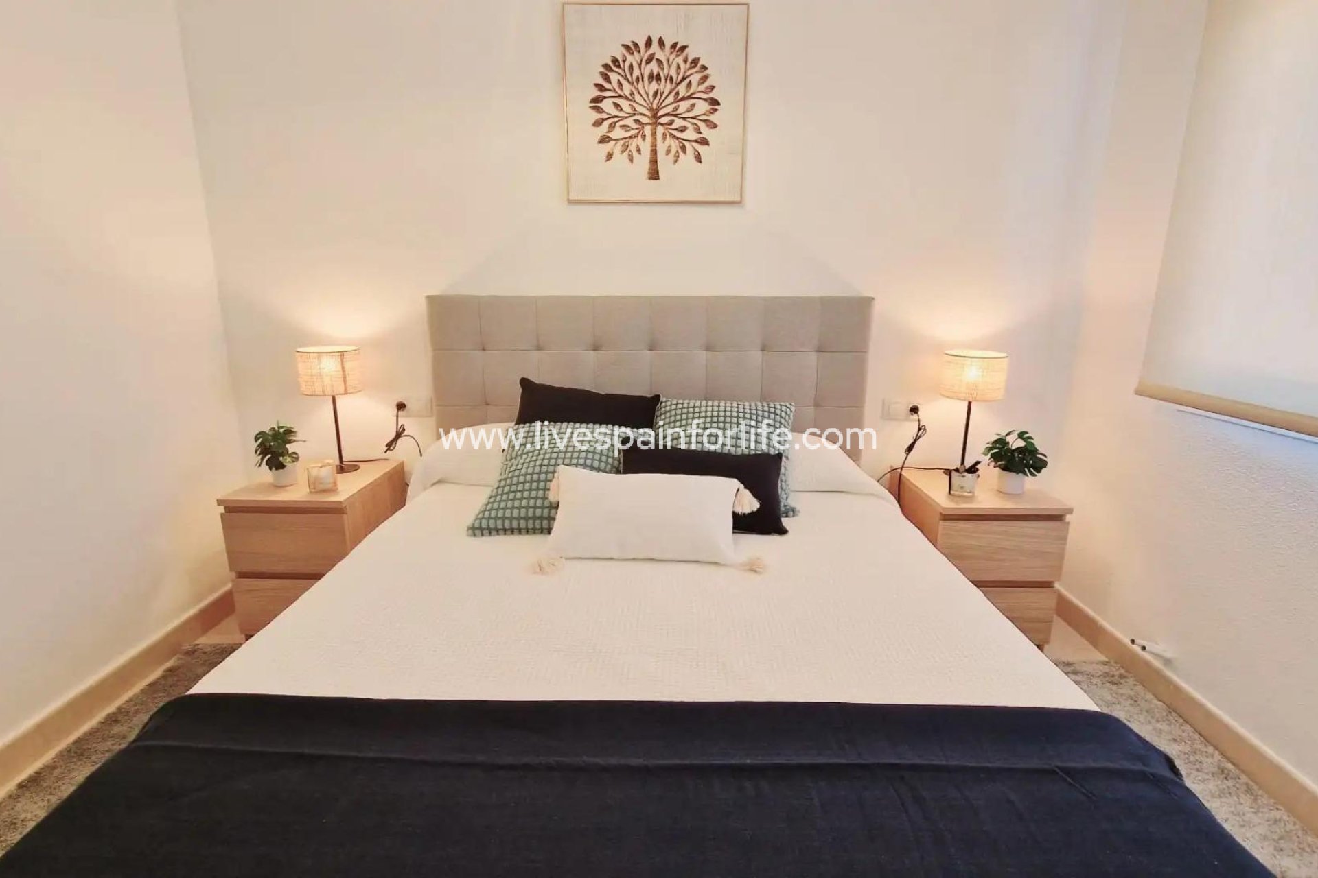 Neubau - Villa (freistehende) -
Lorca - Purias