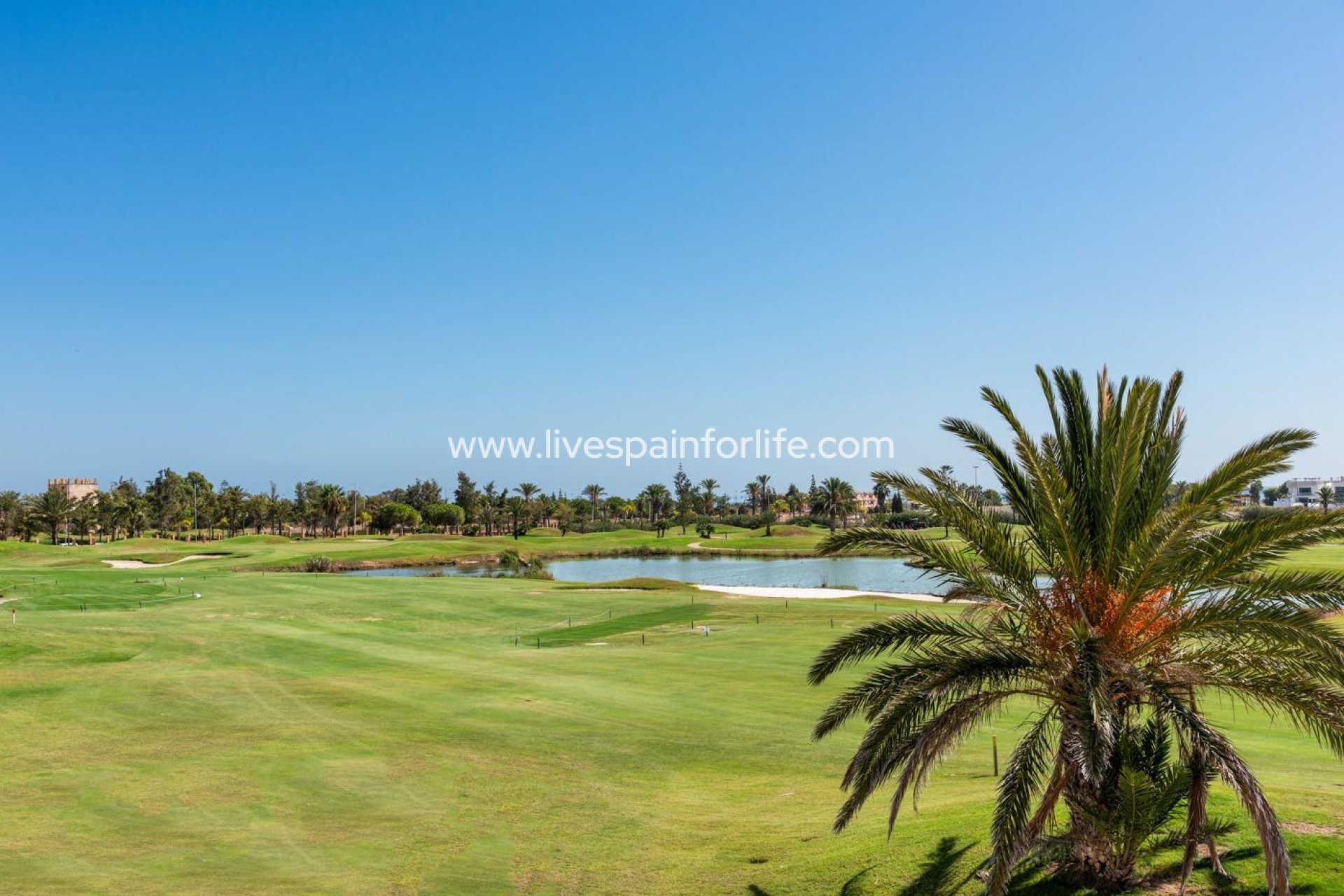 Neubau - Villa (freistehende) -
Los Alcázares - Serena Golf