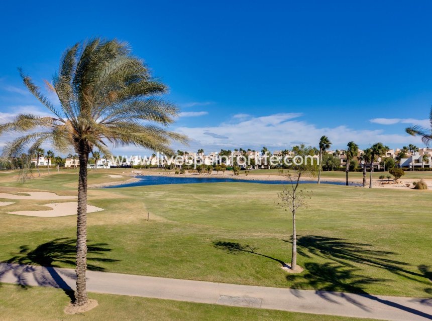 Neubau - Villa (freistehende) -
Pilar de la Horadada - Lo Romero Golf
