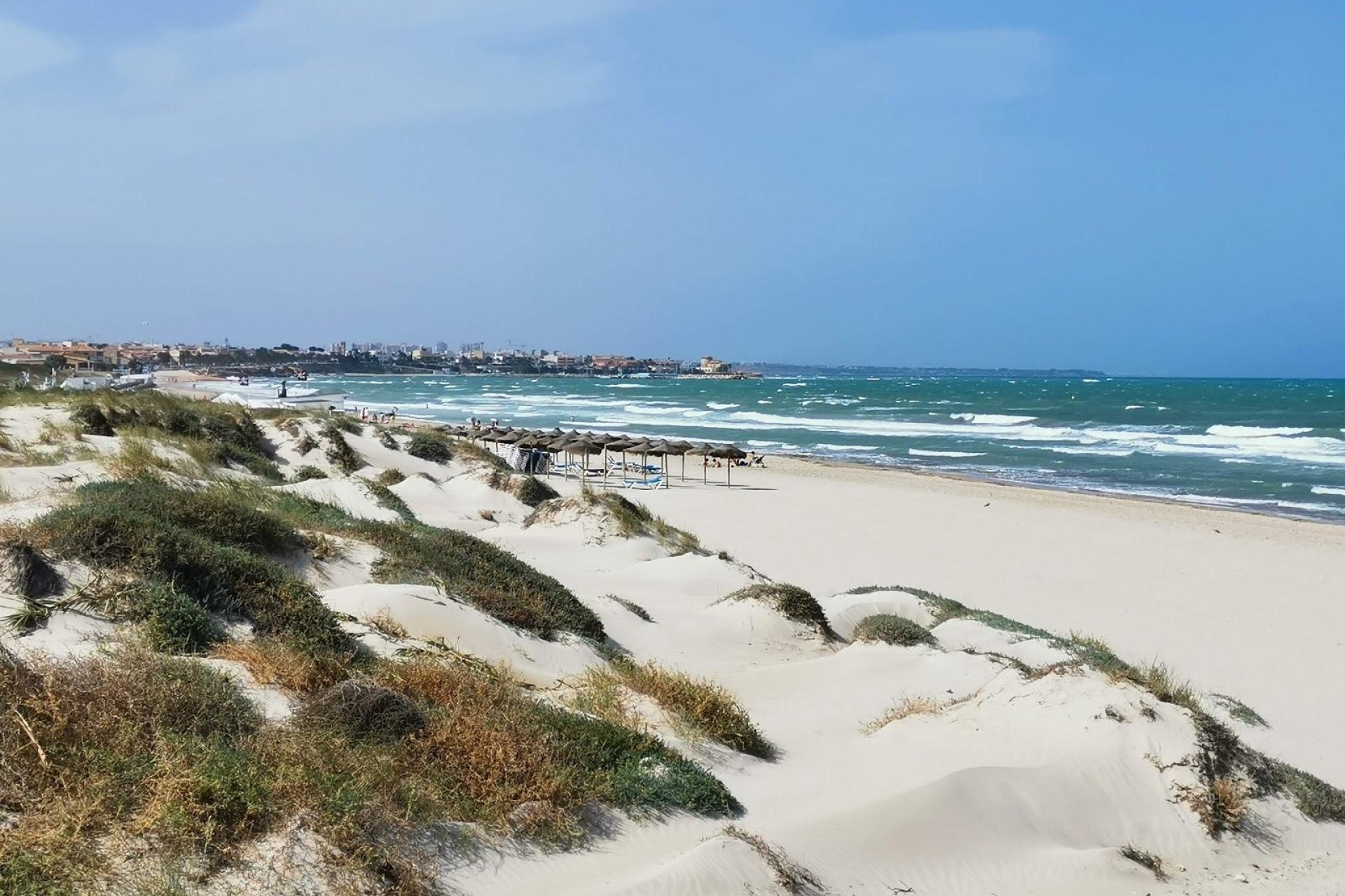 Neubau - Villa (freistehende) -
Pilar de la Horadada