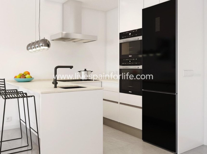 Neubau - Villa (freistehende) -
Pilar de la Horadada