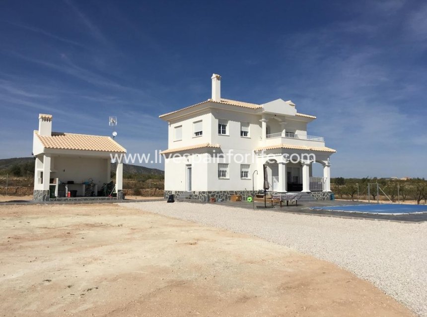 Neubau - Villa (freistehende) -
Pinoso - Camino Del Prado