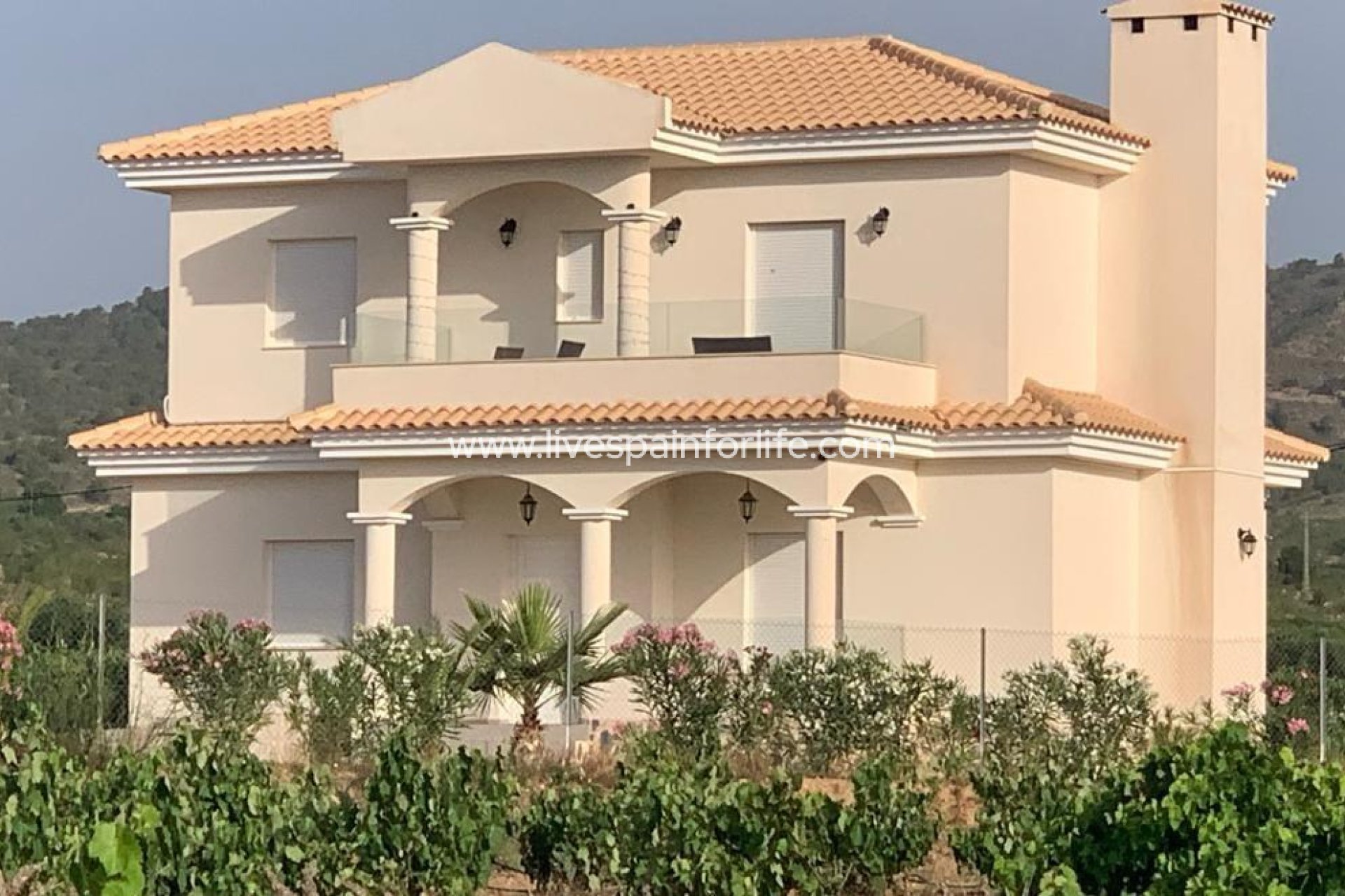 Neubau - Villa (freistehende) -
Pinoso - Camino Del Prado