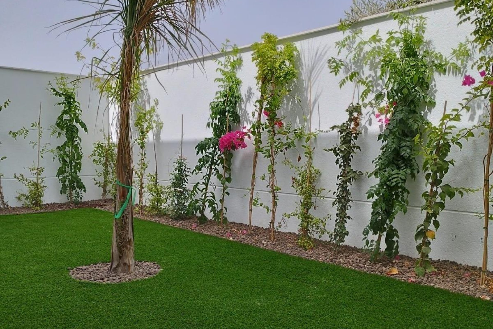 Neubau - Villa (freistehende) -
San Javier - Parque del doce