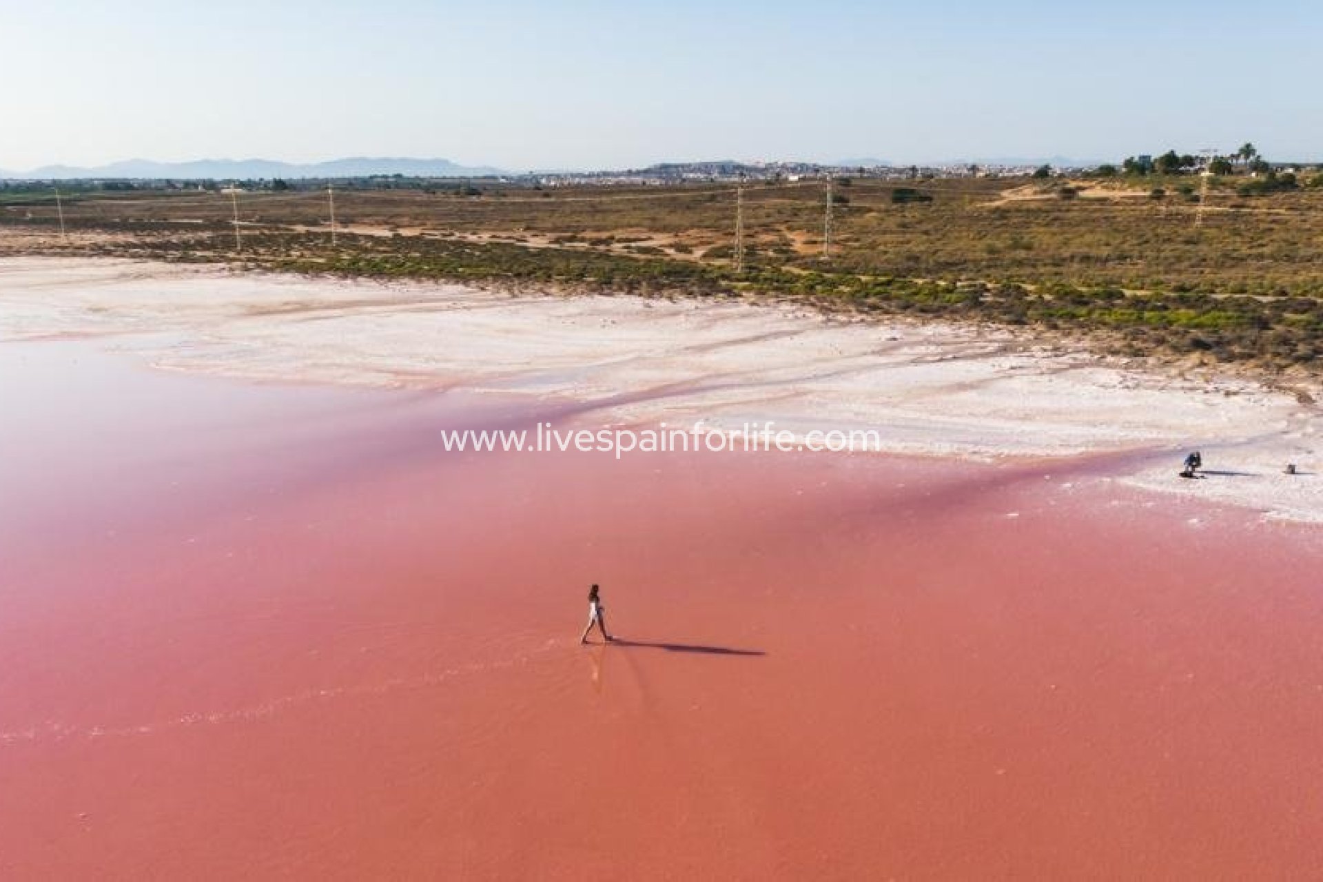 Neubau - Villa (freistehende) -
Torrevieja - Agua Nuevas