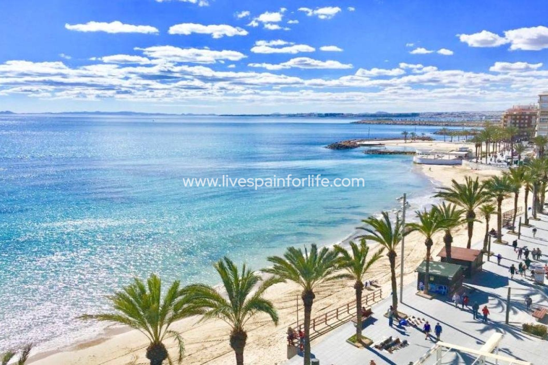 Neubau - Villa (freistehende) -
Torrevieja - Lago Jardín II