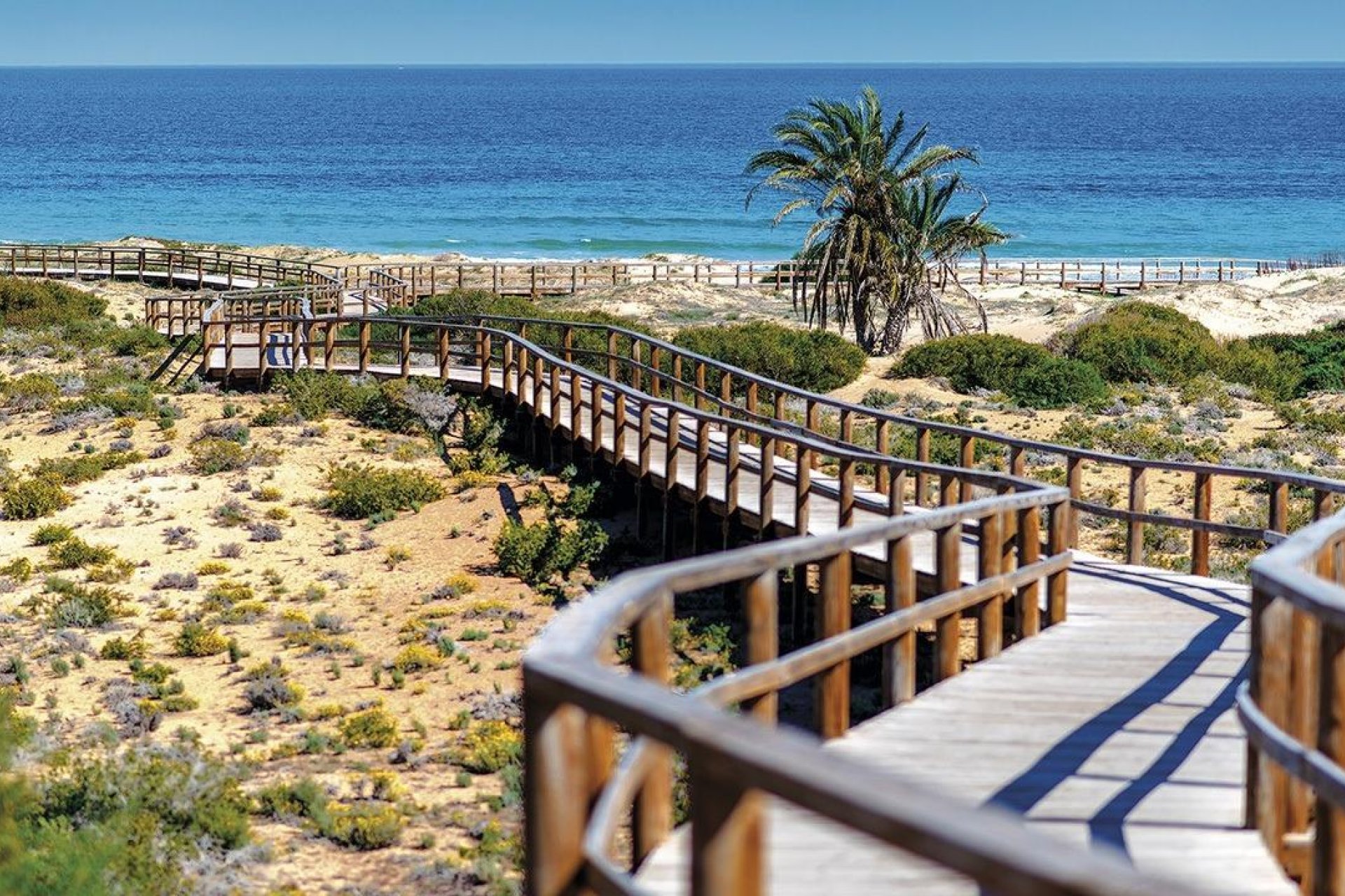 New build - Apartments -
Alicante