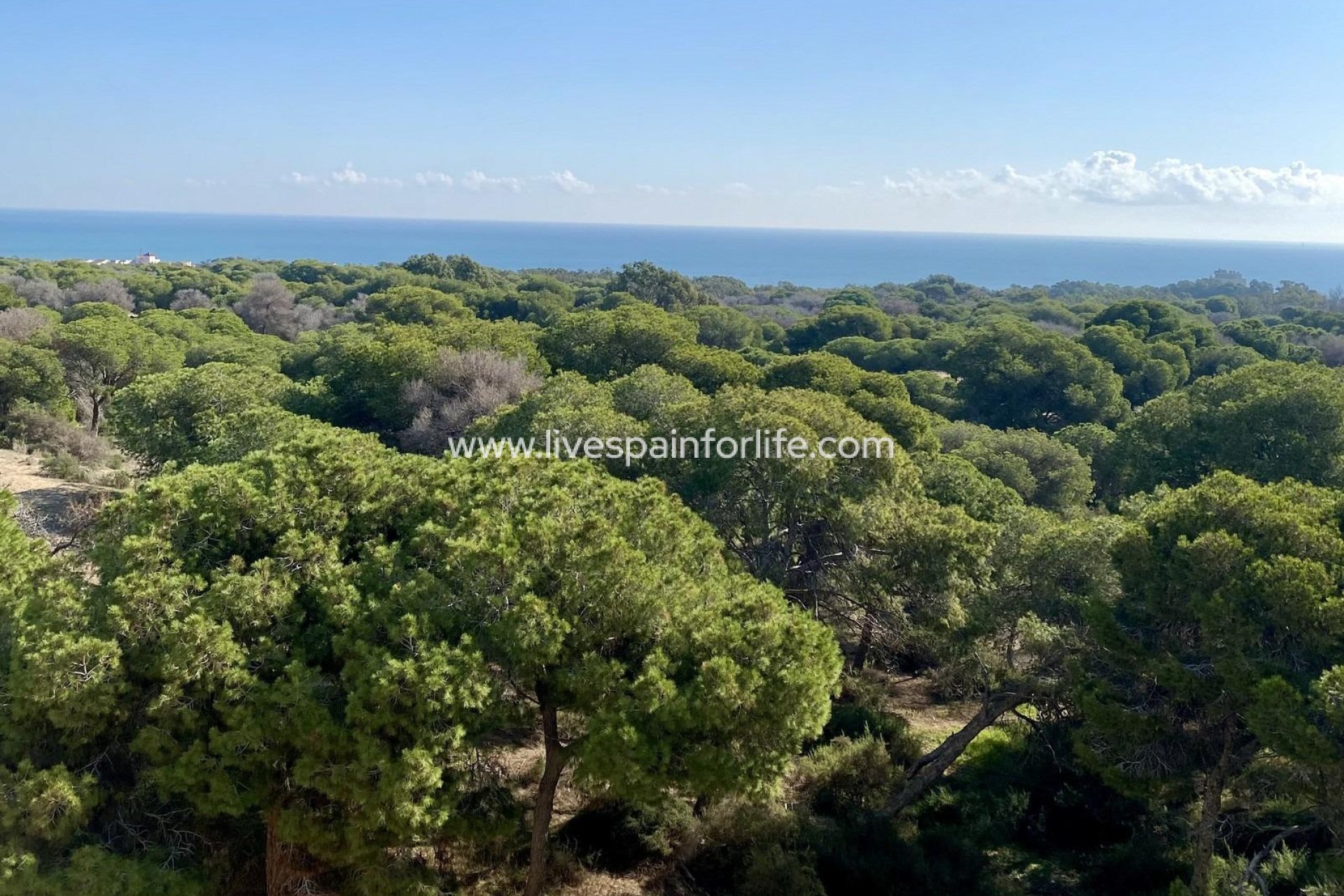 New build - Apartments -
Guardamar del Segura - Centro