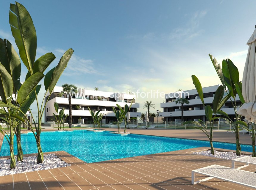 New build - Apartments -
Guardamar del Segura - El Raso