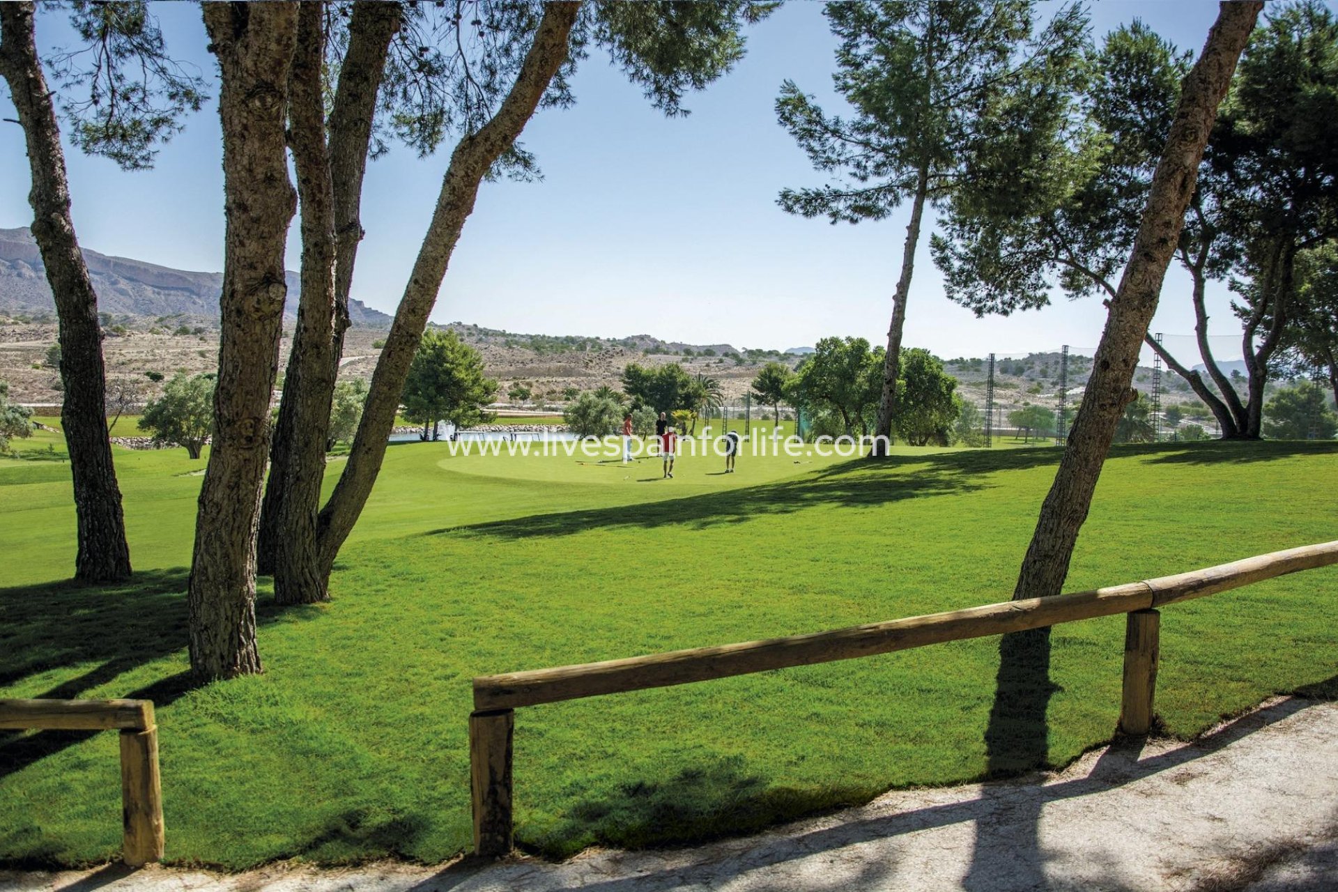 New build - Apartments -
Monforte Del Cid - Alenda Golf