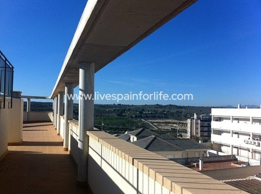 New build - Apartments -
San Miguel De Salinas