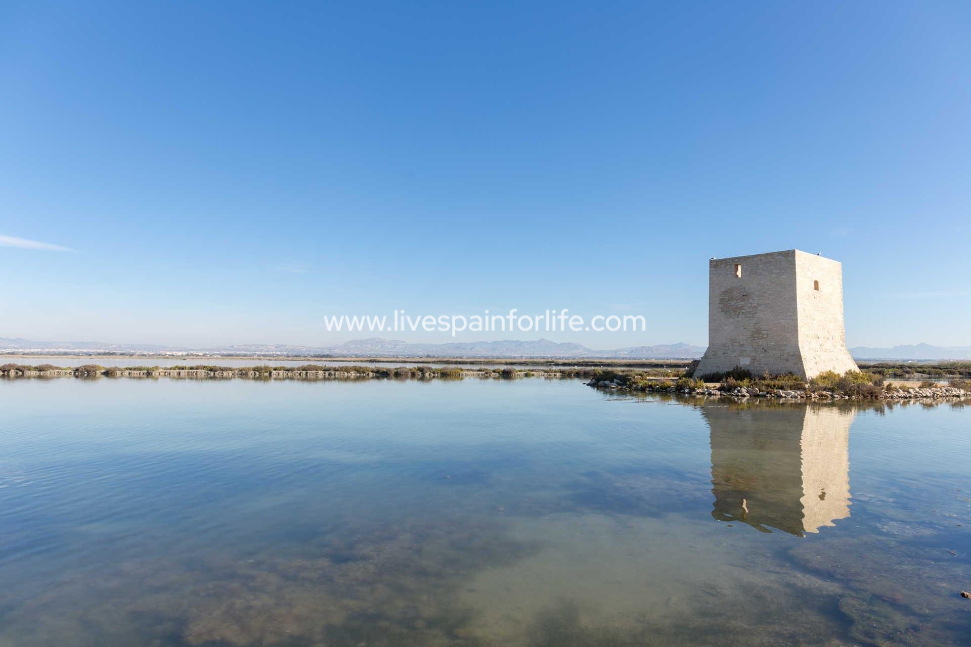 New build - Apartments -
Santa Pola - Estacion de autobuses