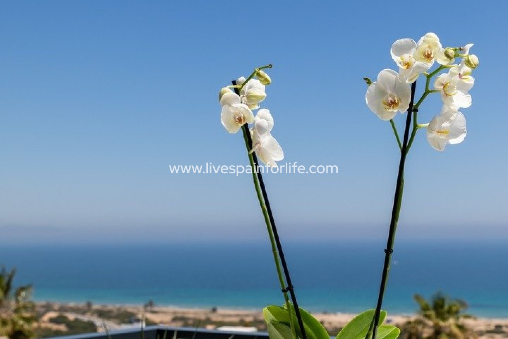 New build - Apartments -
Santa Pola - Gran Alacant