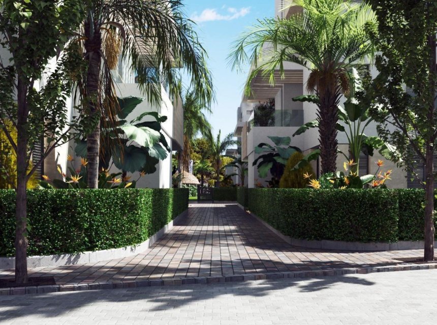 New build - Apartments -
Torre Pacheco - Santa Rosalía