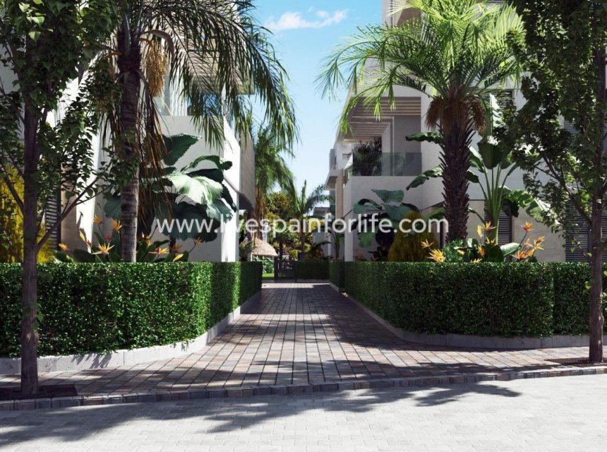 New build - Apartments -
Torre Pacheco - Santa Rosalía