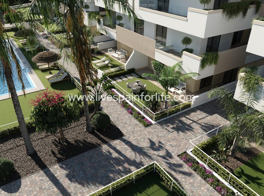 New build - Apartments -
Torre Pacheco - Santa Rosalía