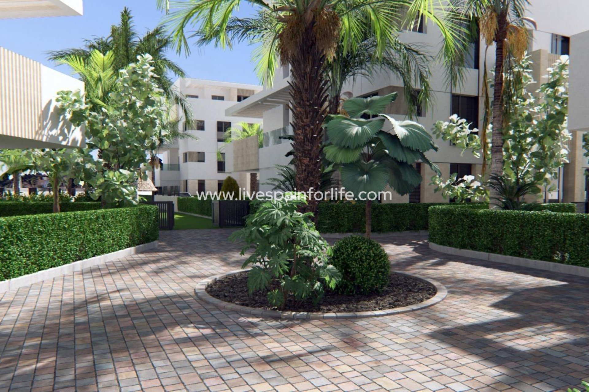 New build - Apartments -
Torre Pacheco - Santa Rosalía