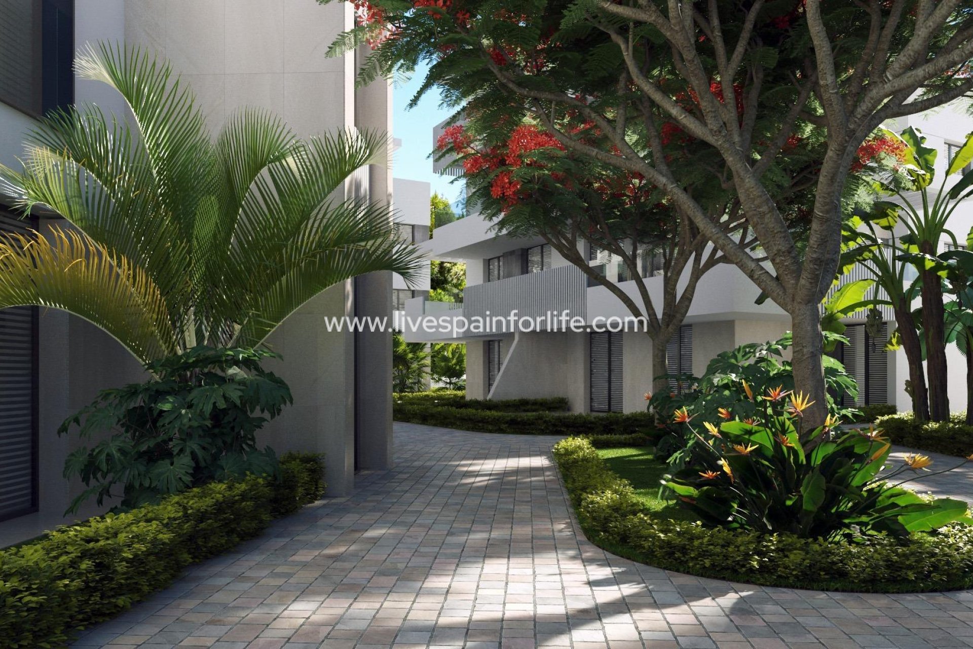 New build - Apartments -
Torre Pacheco - Santa Rosalía